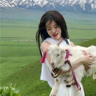 金斗汉哥，白索尼哥