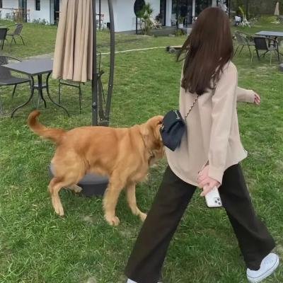 日落节拍